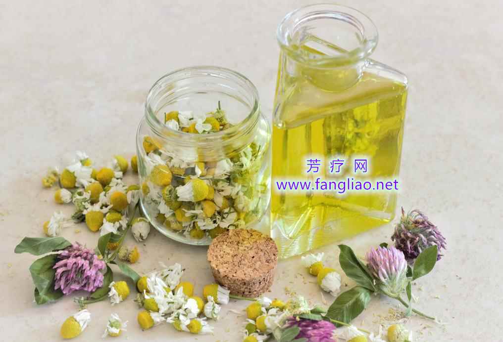 <strong>探索广州精油市场:批发零售渠道全解析  </strong>